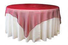 Square Burgundy Organza Overlay